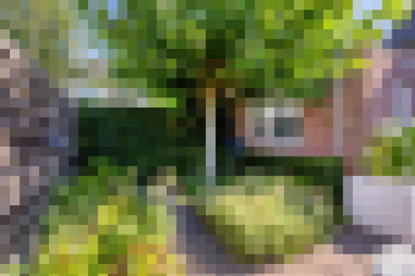Meidoorn 2 Prinsenbeek thumbnail 26