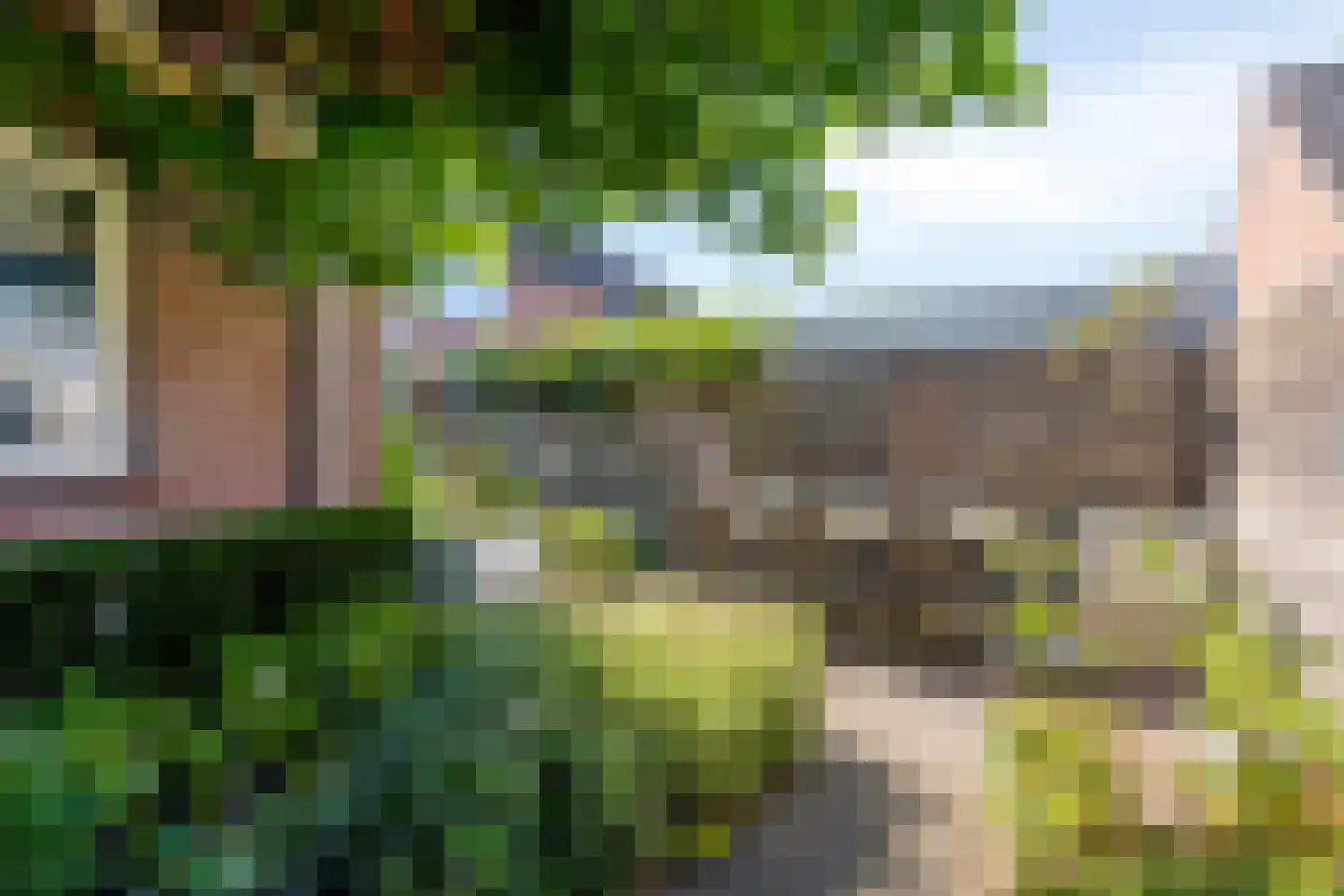 Meidoorn 2 Prinsenbeek thumbnail 27