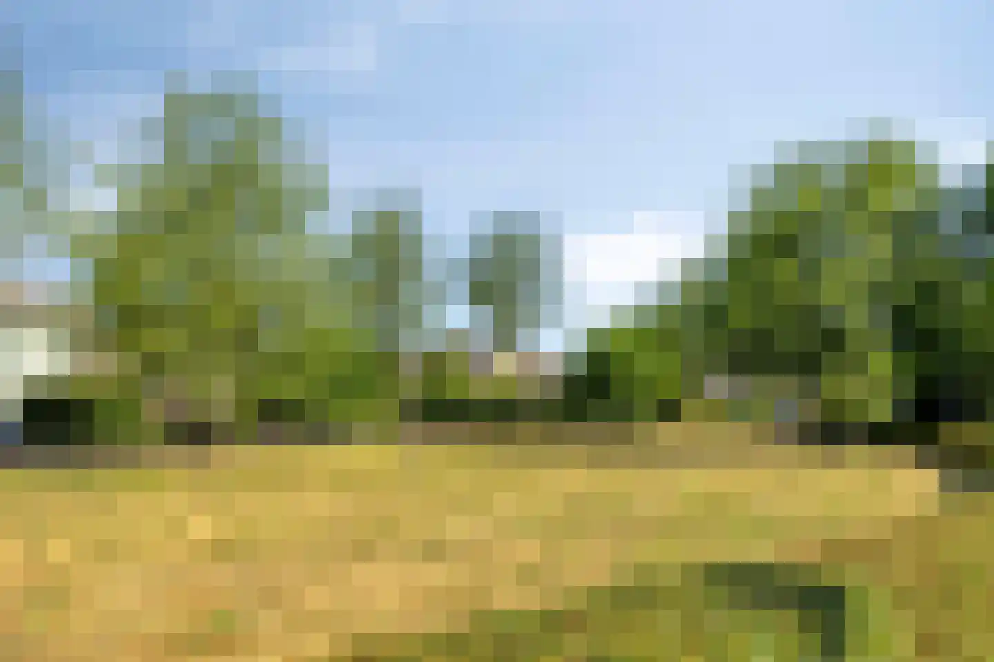 Meidoorn 2 Prinsenbeek thumbnail 31