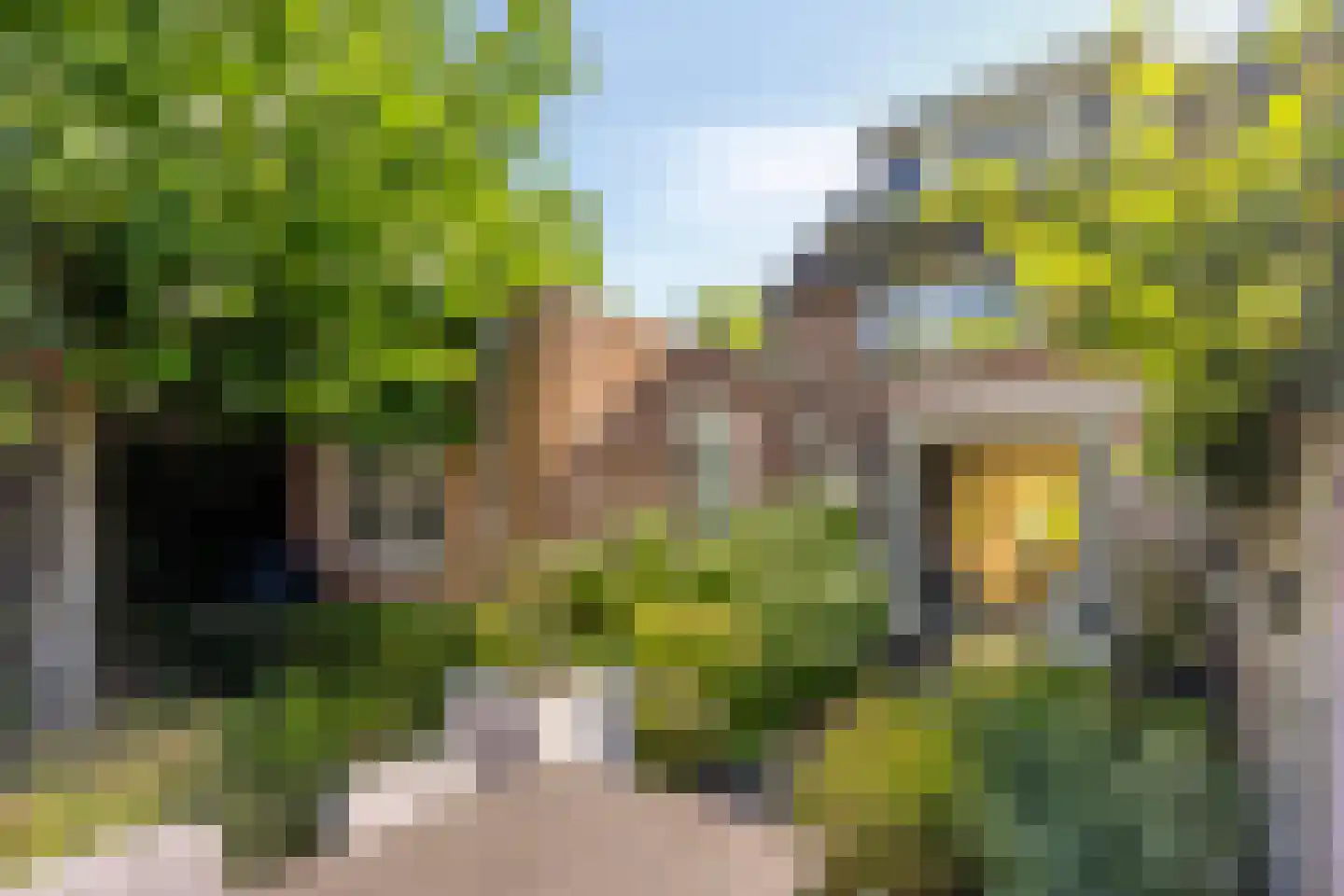 Meidoorn 2 Prinsenbeek thumbnail 4