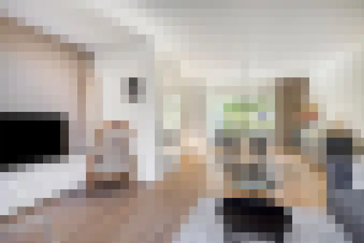 Meidoorn 2 Prinsenbeek thumbnail 6
