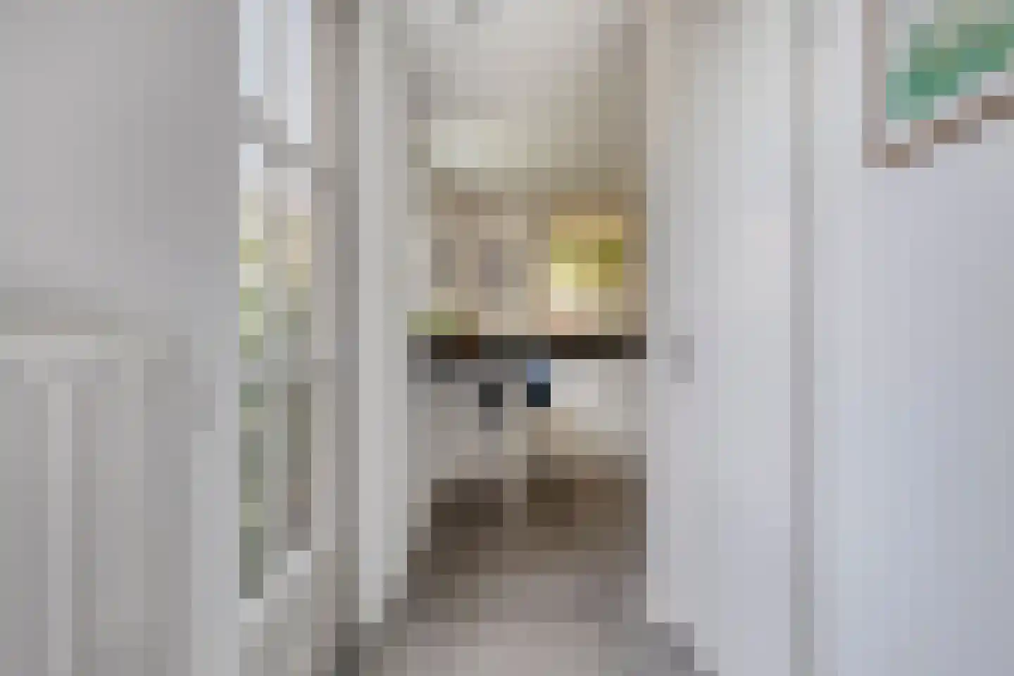 Meidoorn 2 Prinsenbeek thumbnail 9
