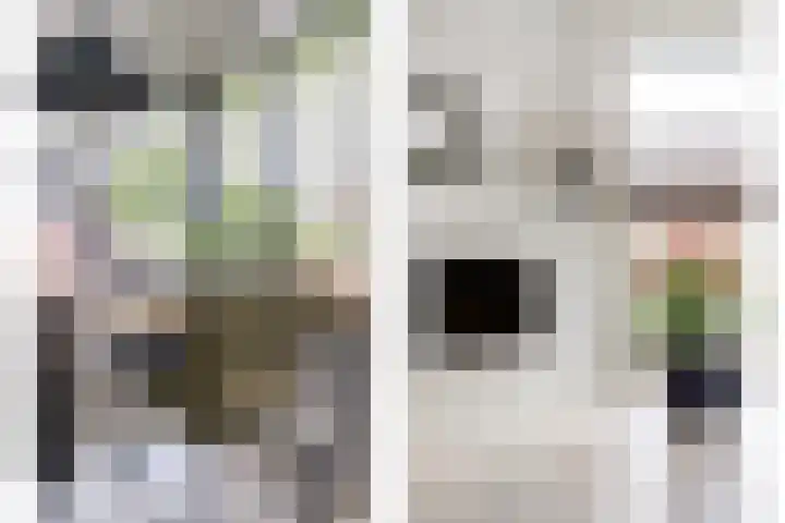 Meidoorn 2 Wilp thumbnail 10