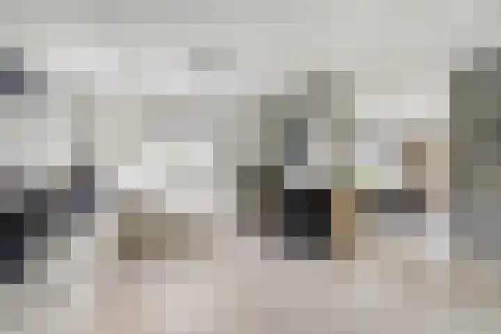 Meidoorn 2 Wilp thumbnail 12