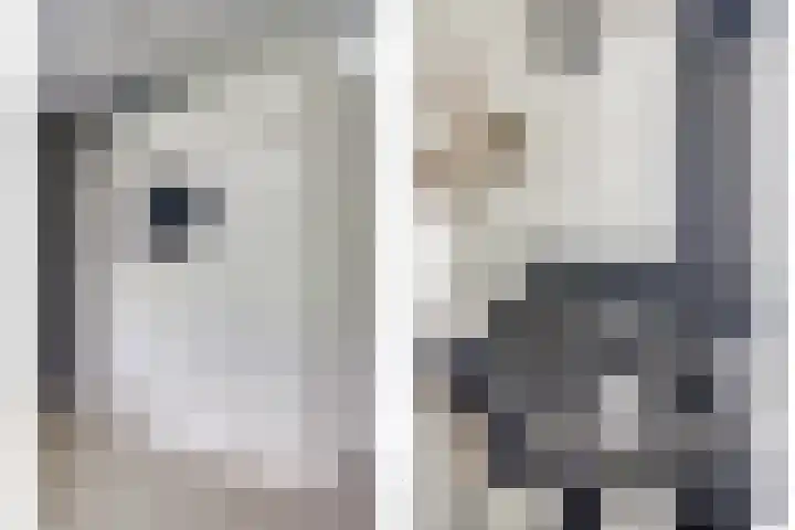 Meidoorn 2 Wilp thumbnail 13