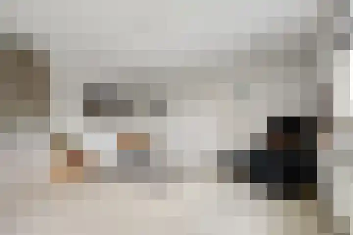 Meidoorn 2 Wilp thumbnail 15