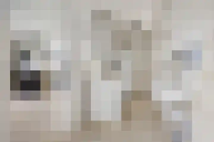 Meidoorn 2 Wilp thumbnail 17