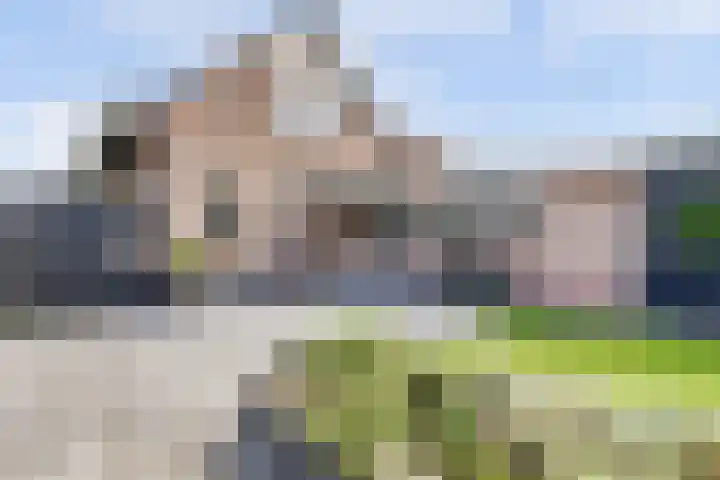 Meidoorn 2 Wilp foto 2