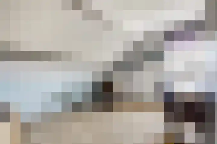 Meidoorn 2 Wilp thumbnail 21