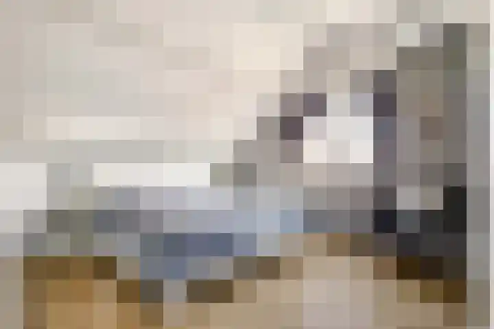 Meidoorn 2 Wilp thumbnail 22