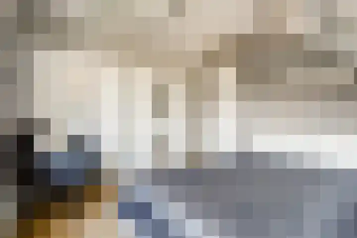 Meidoorn 2 Wilp thumbnail 23