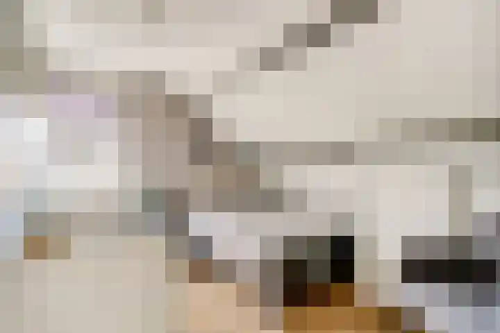 Meidoorn 2 Wilp thumbnail 24