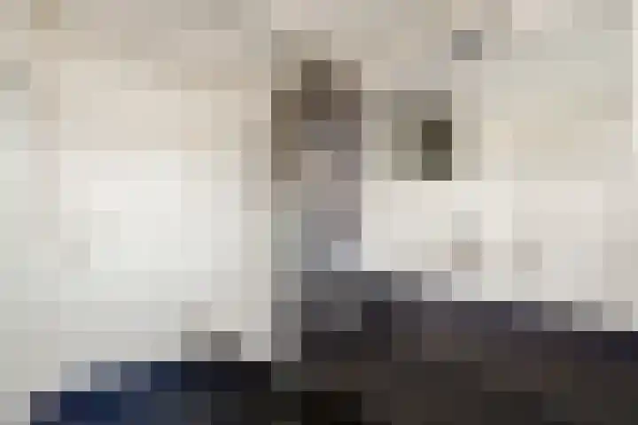 Meidoorn 2 Wilp thumbnail 26