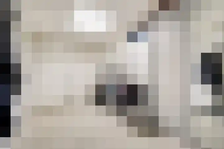 Meidoorn 2 Wilp thumbnail 27