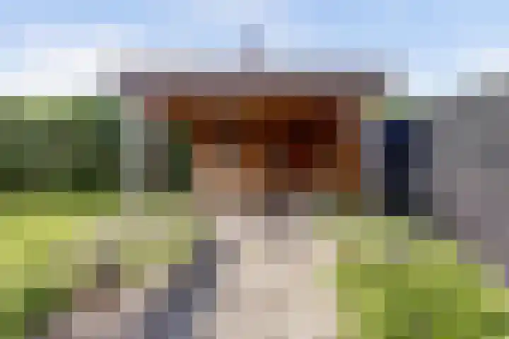 Meidoorn 2 Wilp thumbnail 29