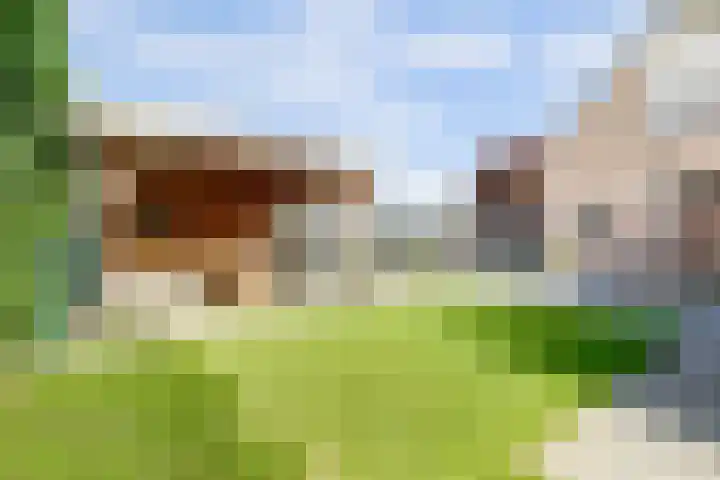 Meidoorn 2 Wilp foto 3