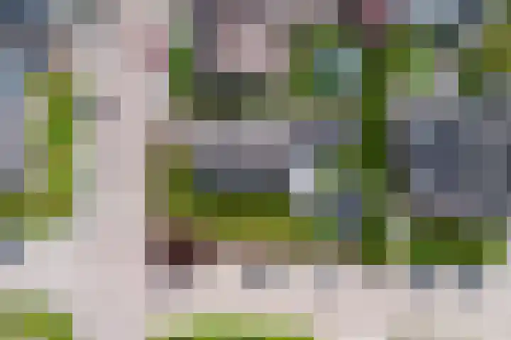 Meidoorn 2 Wilp thumbnail 30