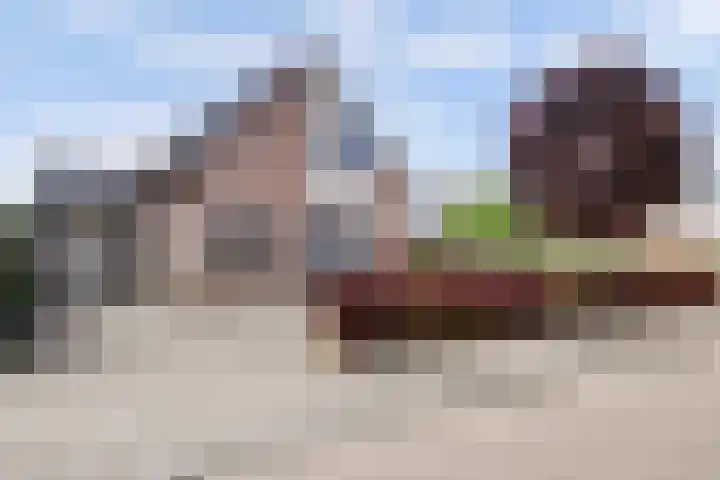 Meidoorn 2 Wilp thumbnail 31
