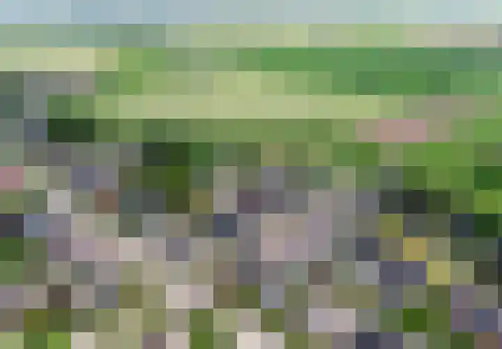 Meidoorn 2 Wilp thumbnail 33