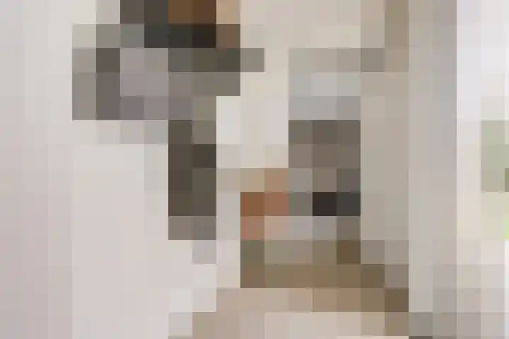 Meidoorn 2 Wilp thumbnail 6