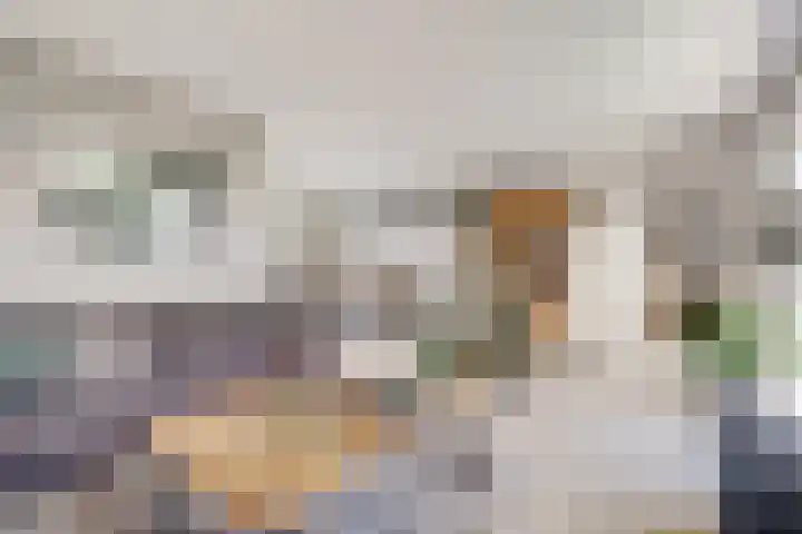 Meidoorn 2 Wilp thumbnail 7