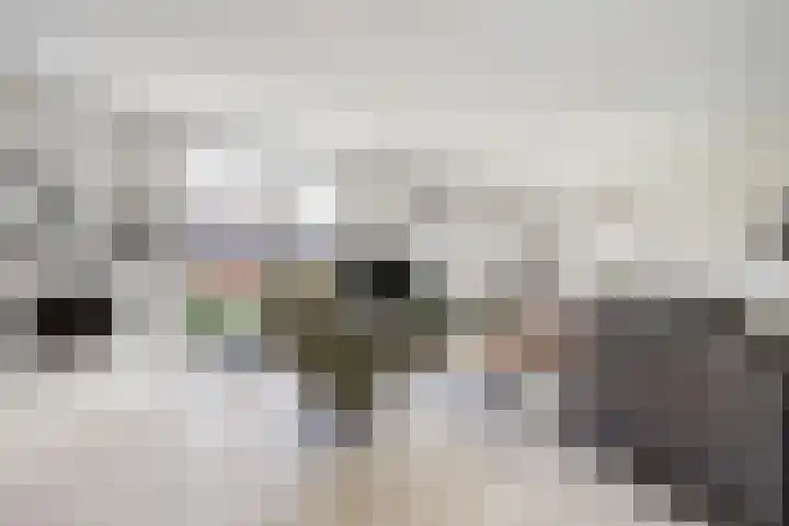 Meidoorn 2 Wilp thumbnail 8
