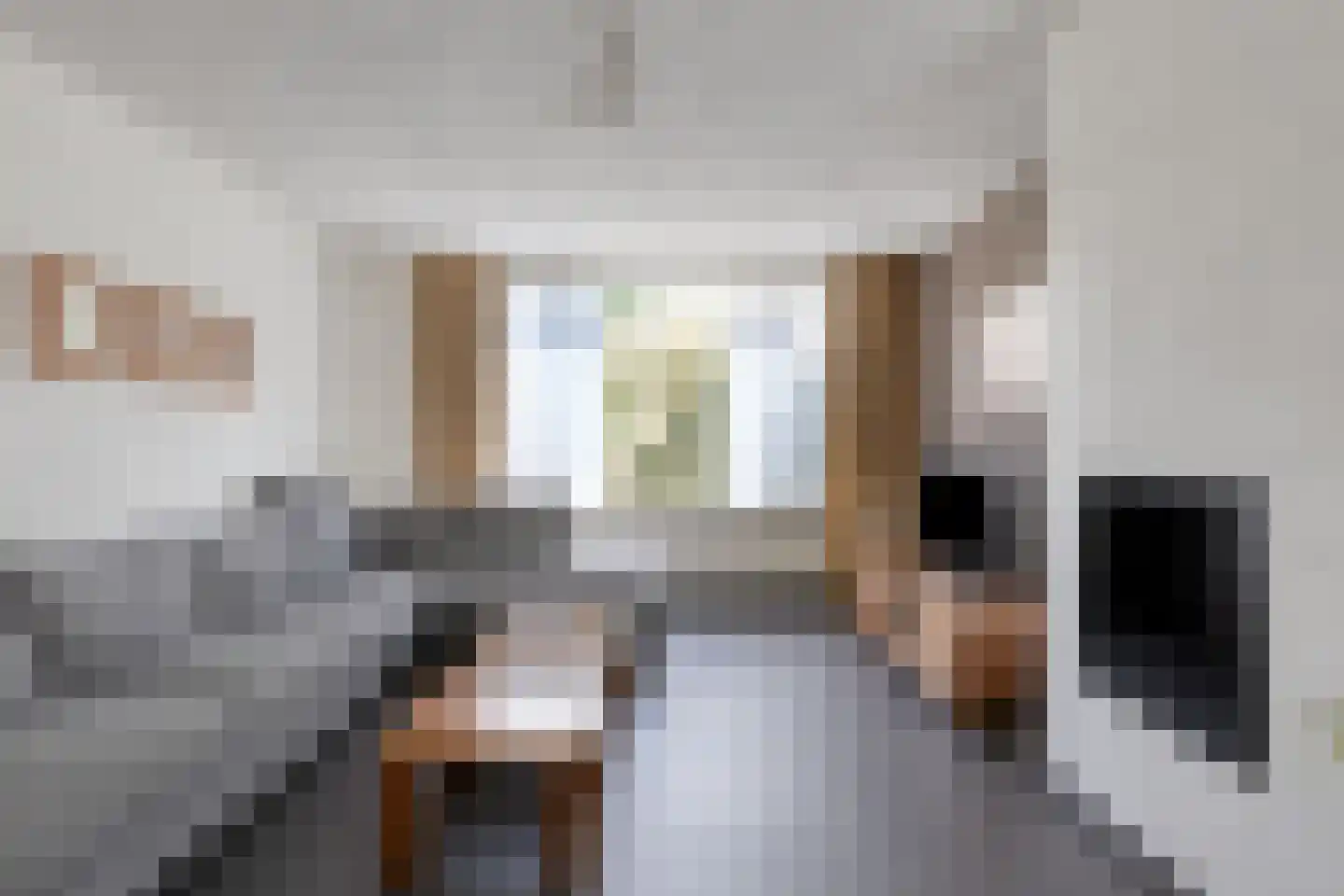 Meidoorn 22 Mierlo thumbnail 15