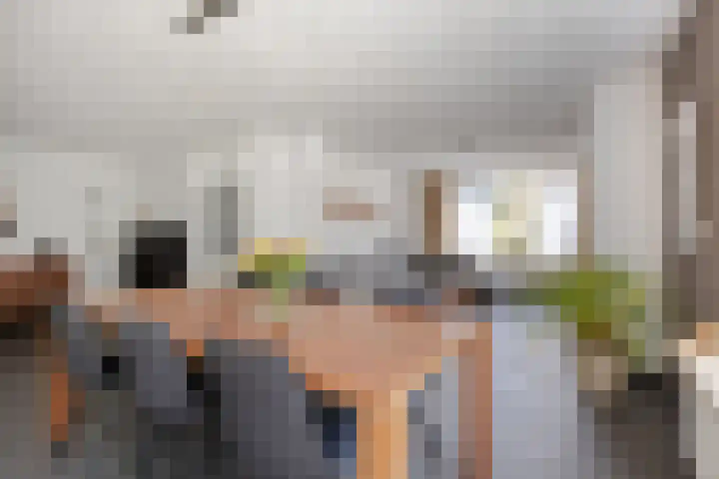 Meidoorn 22 Mierlo thumbnail 17