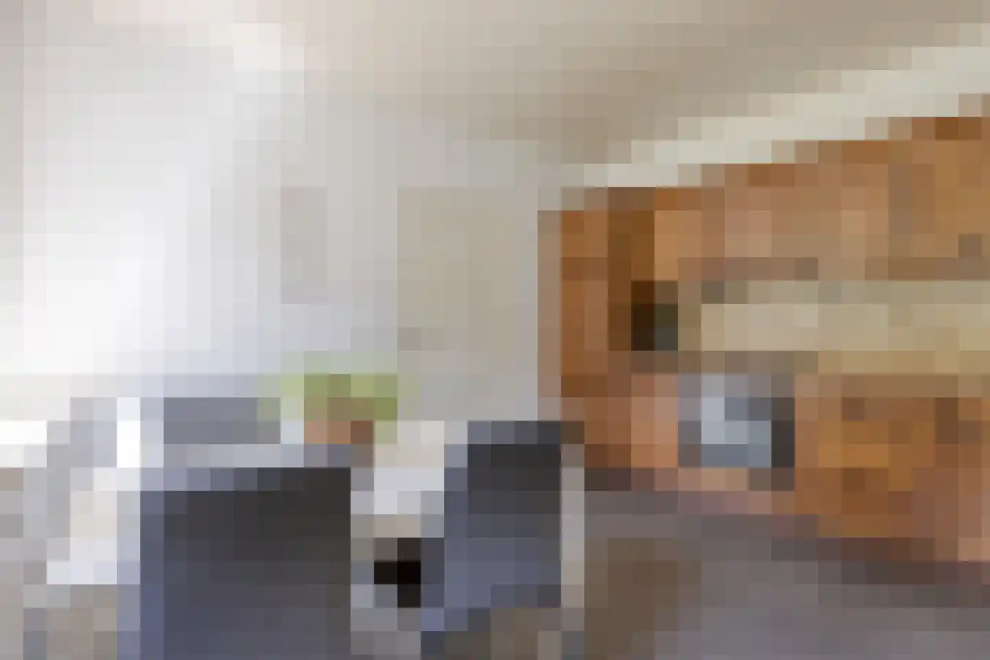 Meidoorn 22 Mierlo thumbnail 22