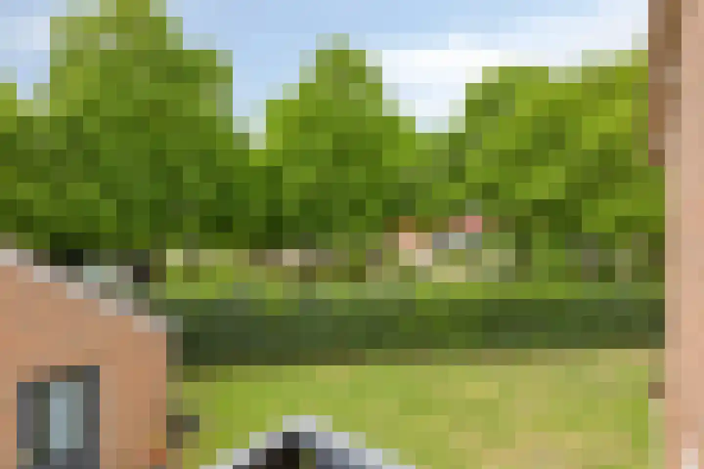 Meidoorn 22 Mierlo thumbnail 32