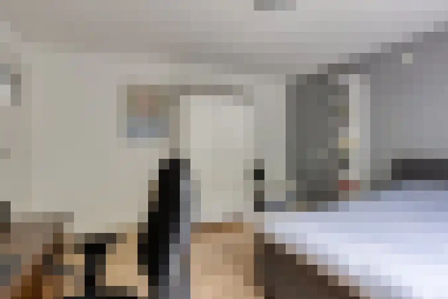 Meidoorn 22 Mierlo thumbnail 35