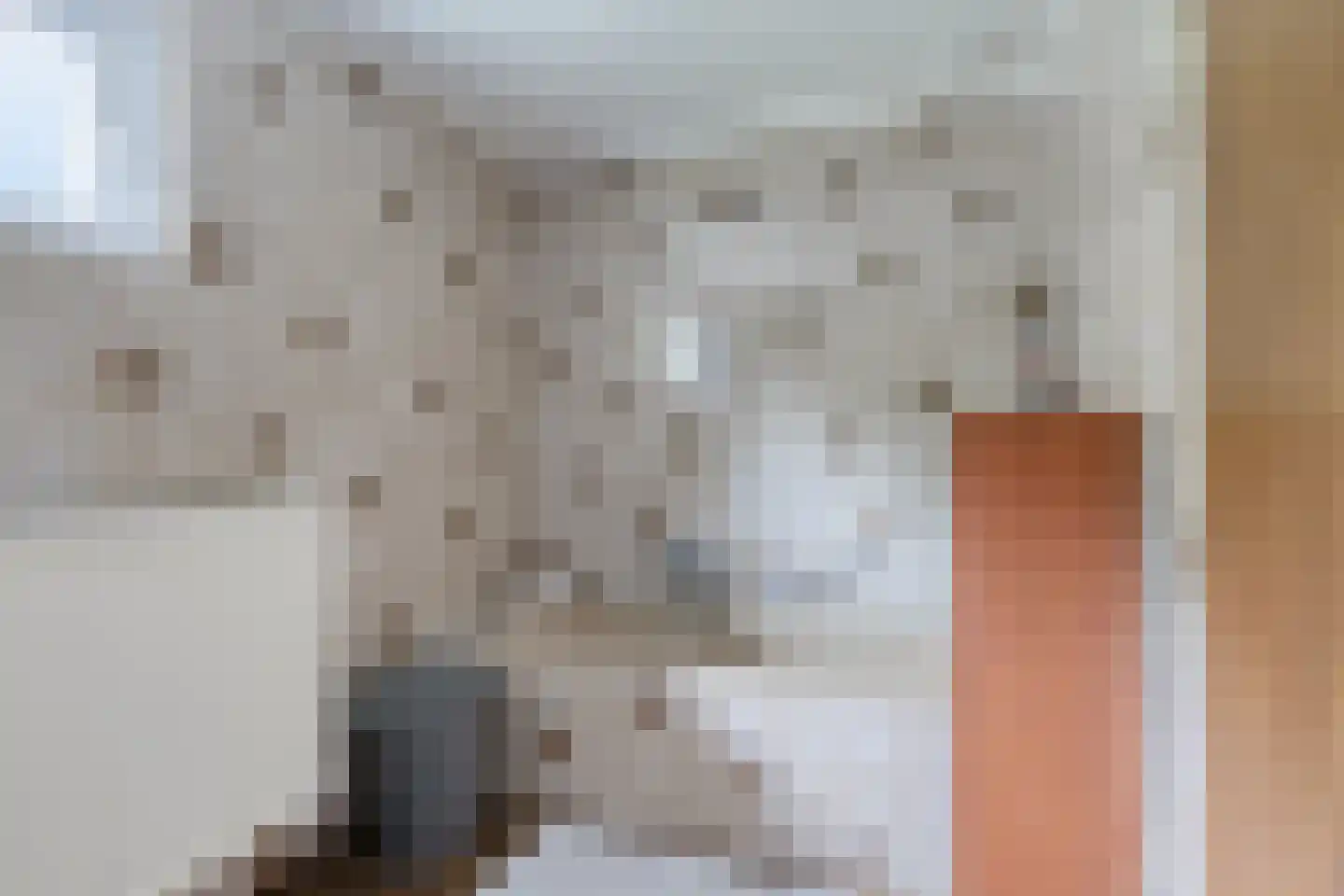 Meidoorn 22 Mierlo thumbnail 38