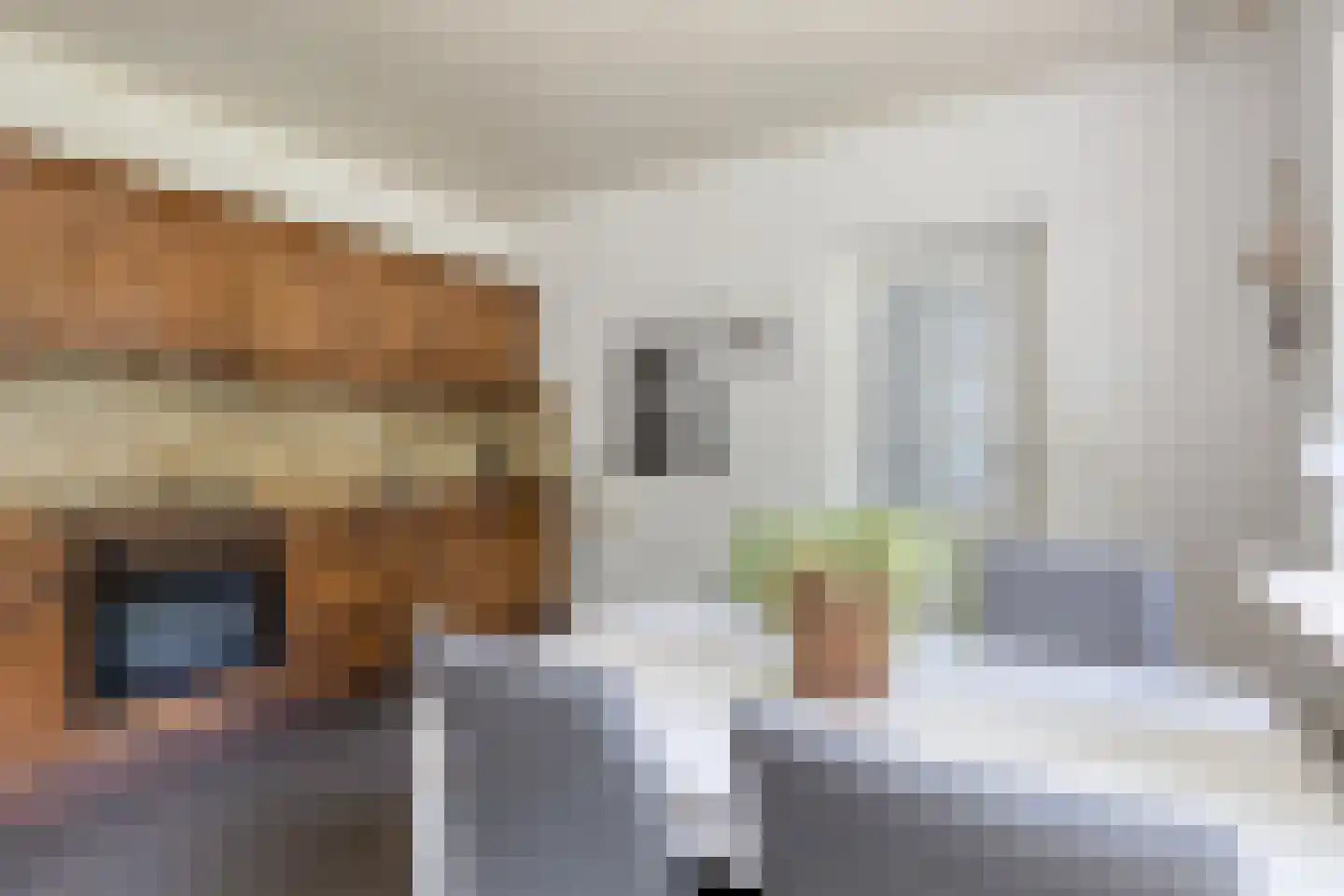 Meidoorn 22 Mierlo thumbnail 4