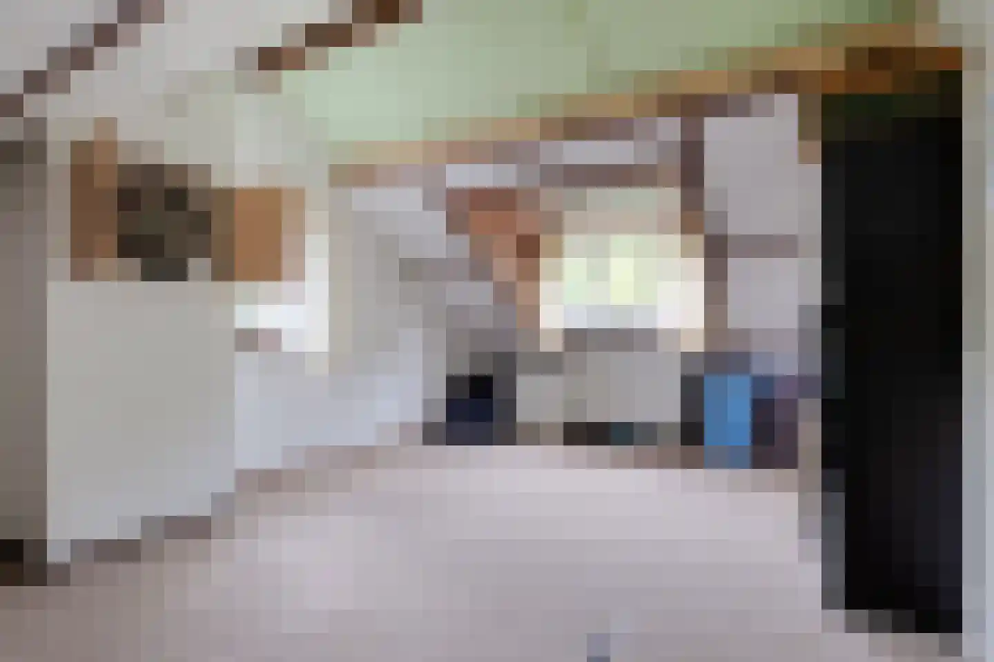 Meidoorn 22 Mierlo thumbnail 41