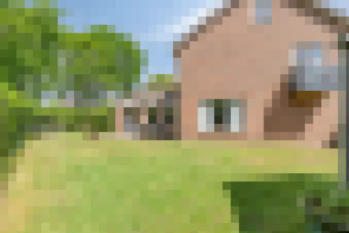 Meidoorn 22 Mierlo thumbnail 49