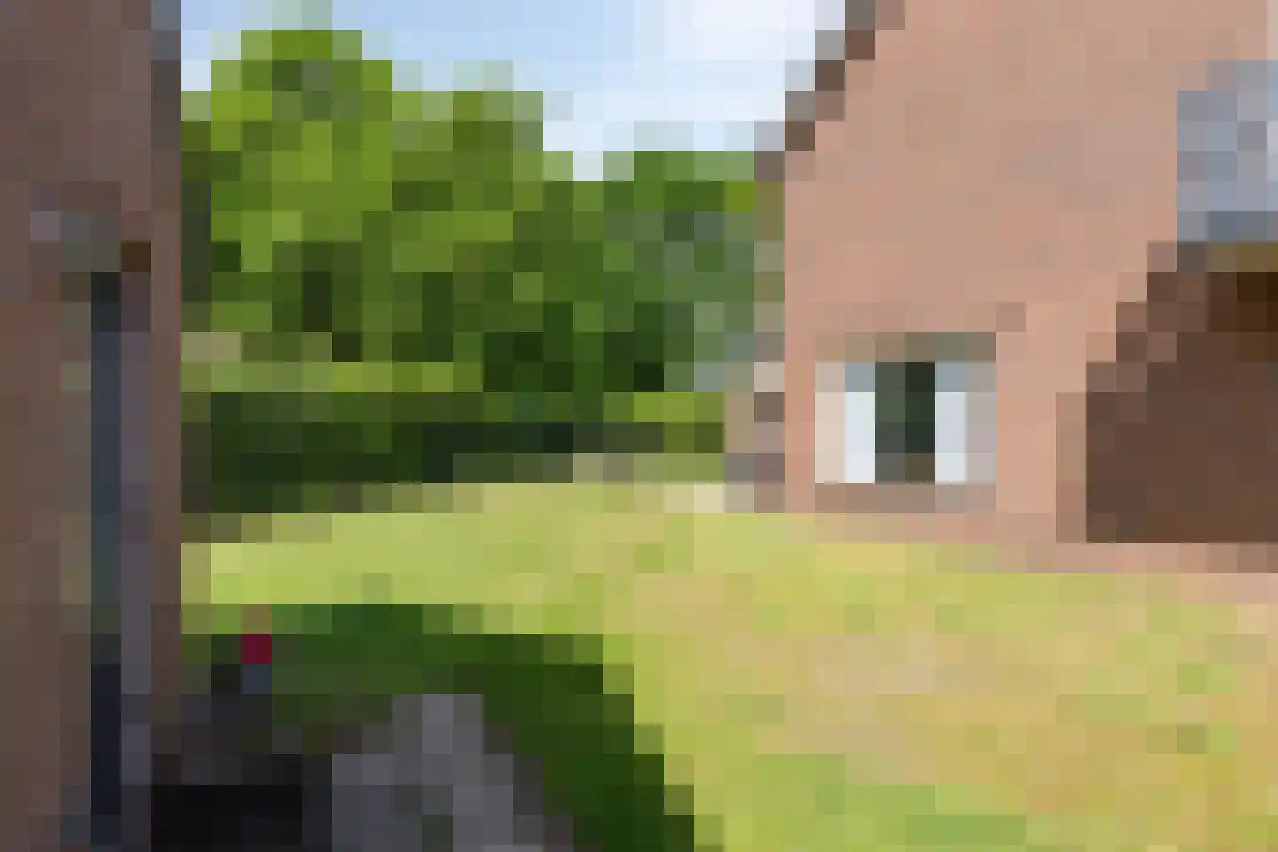 Meidoorn 22 Mierlo thumbnail 50