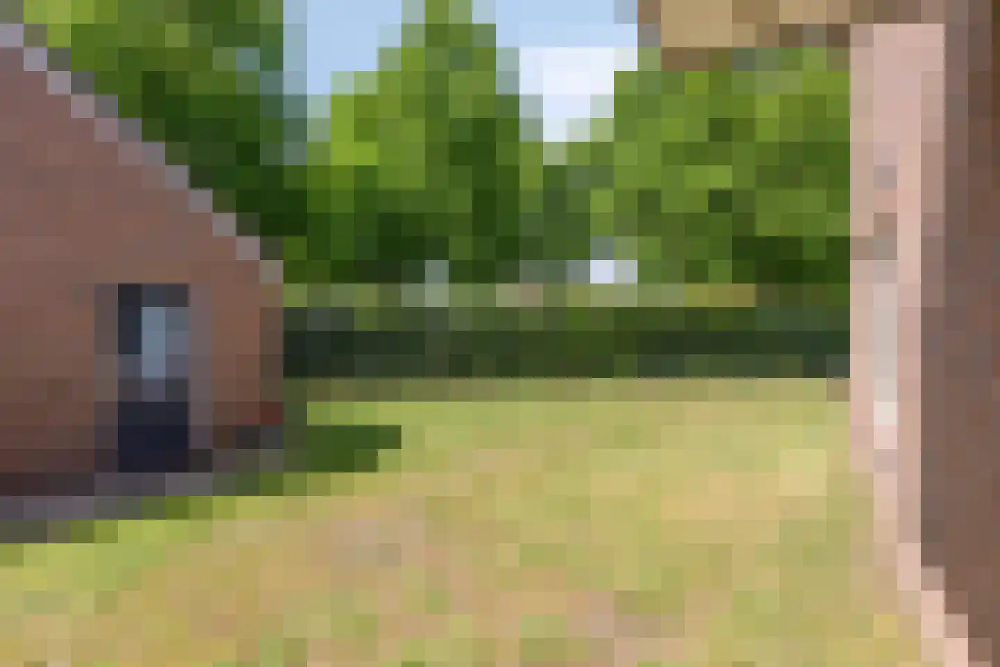 Meidoorn 22 Mierlo thumbnail 51