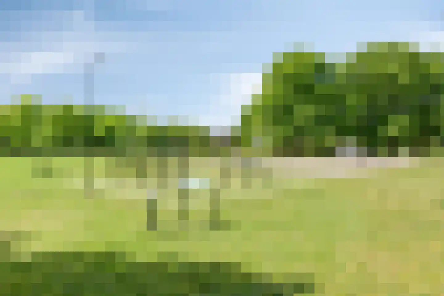 Meidoorn 22 Mierlo thumbnail 58