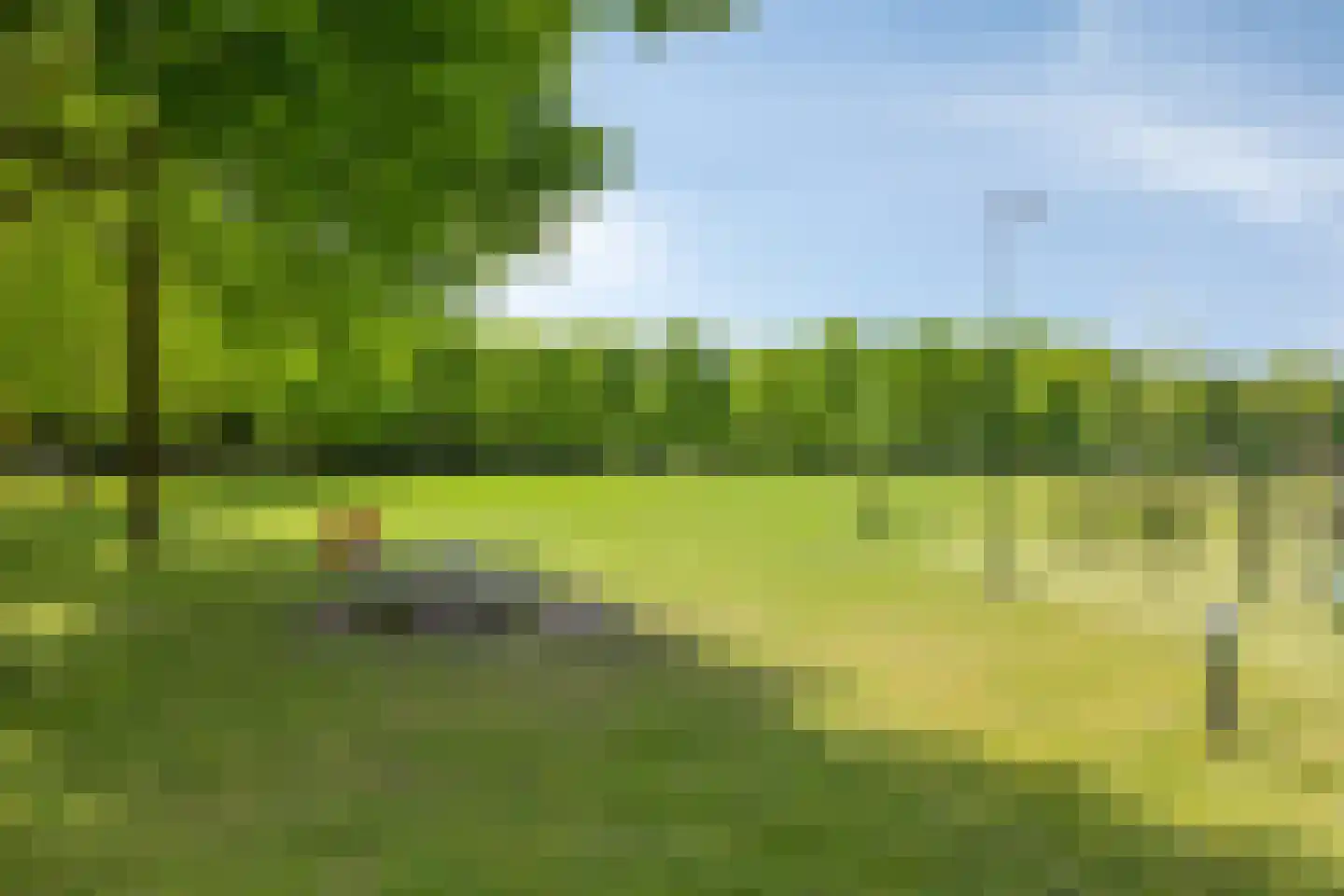 Meidoorn 22 Mierlo thumbnail 59