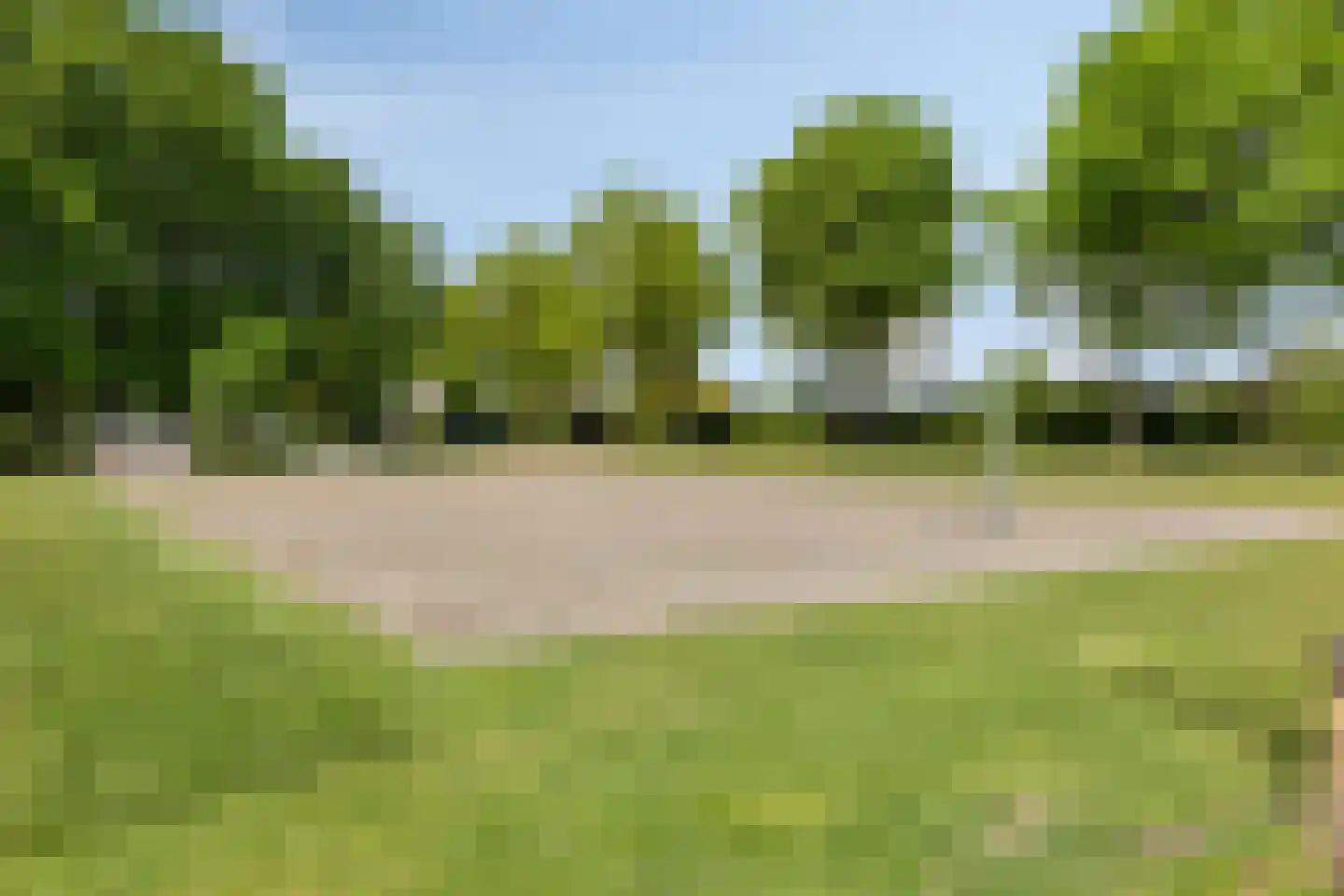 Meidoorn 22 Mierlo thumbnail 60
