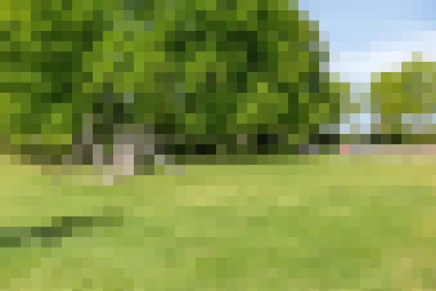 Meidoorn 22 Mierlo thumbnail 61