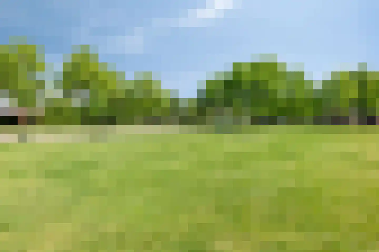 Meidoorn 22 Mierlo thumbnail 62