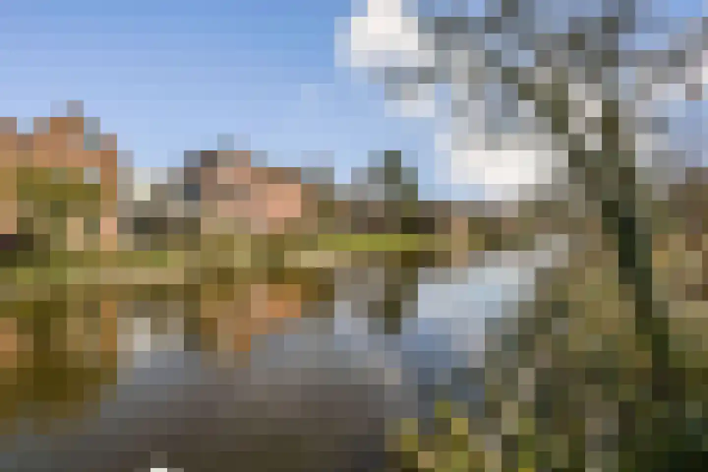 Meidoorn 25 Naaldwijk thumbnail 11