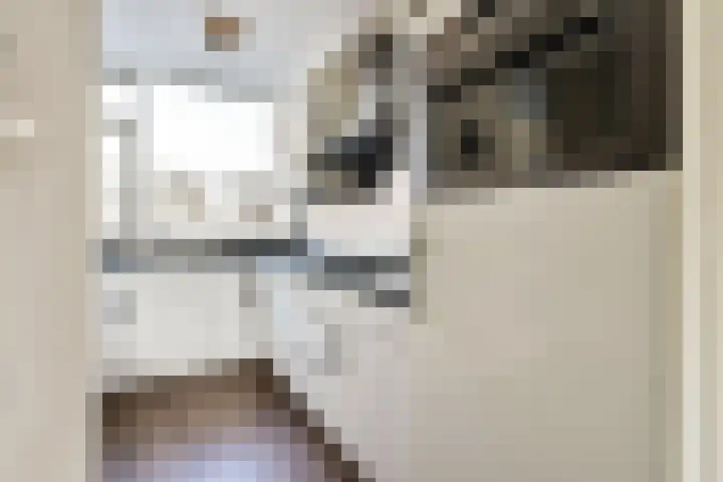 Meidoorn 25 Naaldwijk thumbnail 12