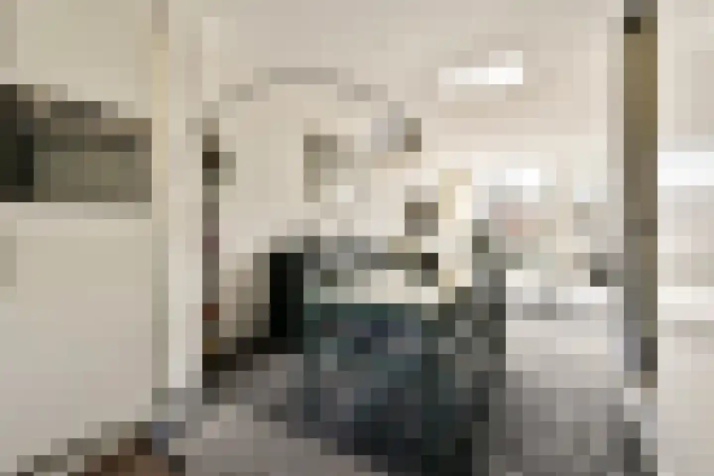 Meidoorn 25 Naaldwijk thumbnail 13