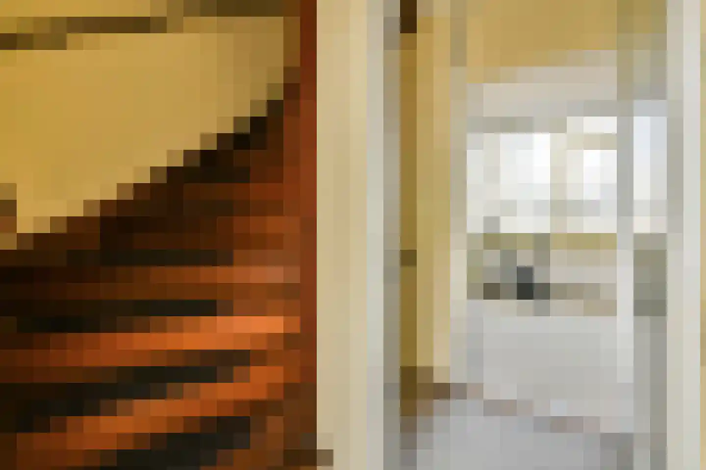 Meidoorn 25 Naaldwijk thumbnail 20