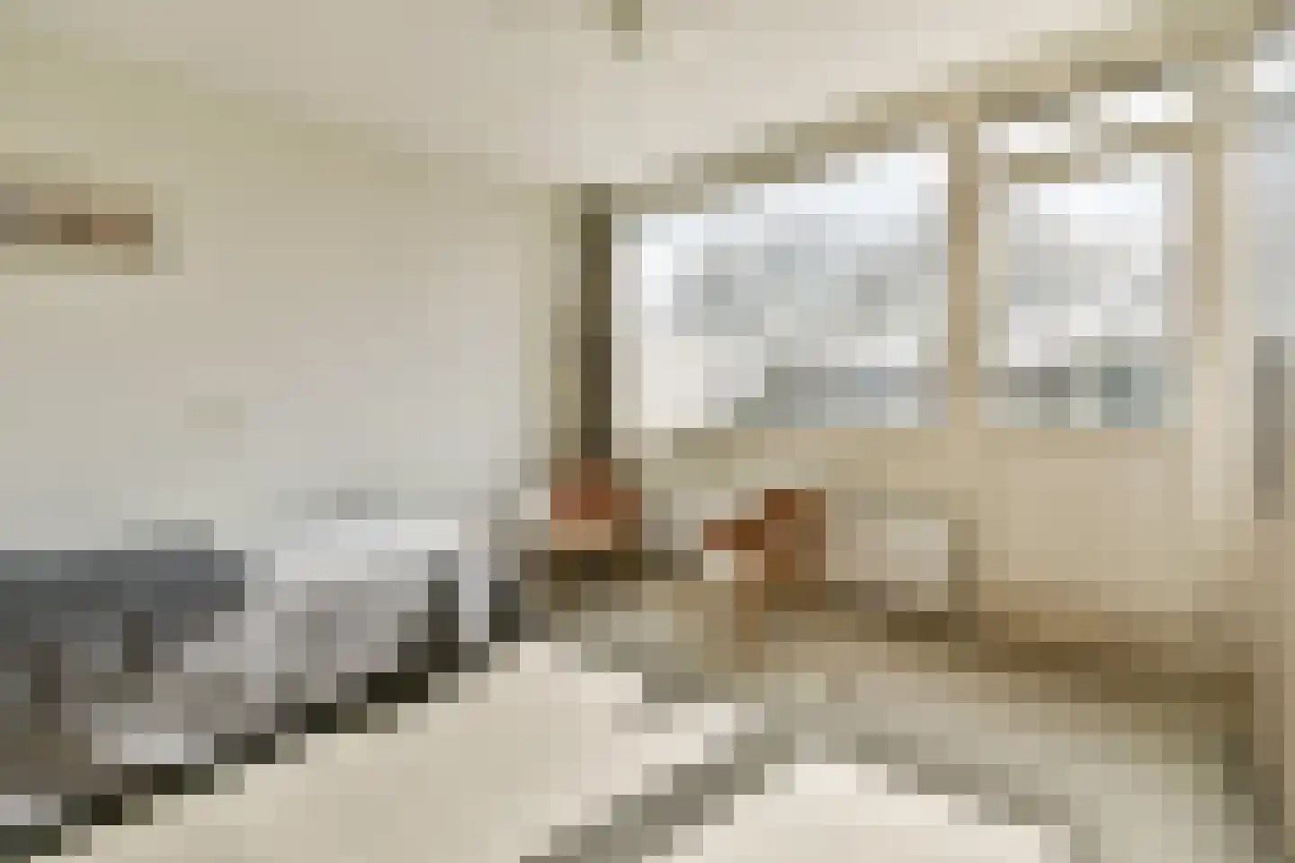 Meidoorn 25 Naaldwijk thumbnail 24
