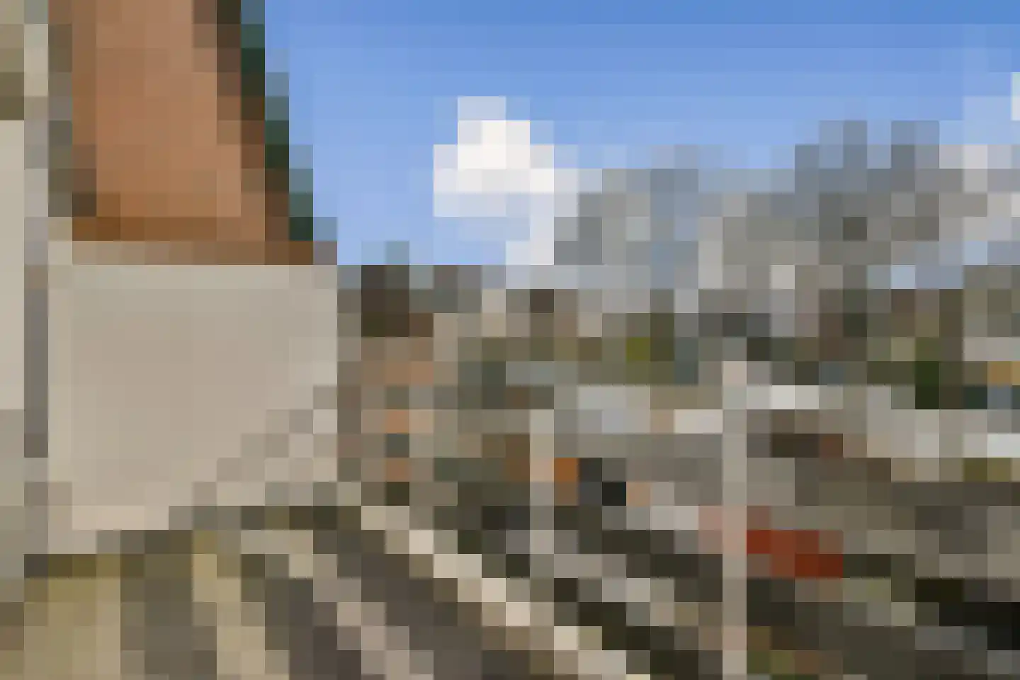 Meidoorn 25 Naaldwijk thumbnail 25