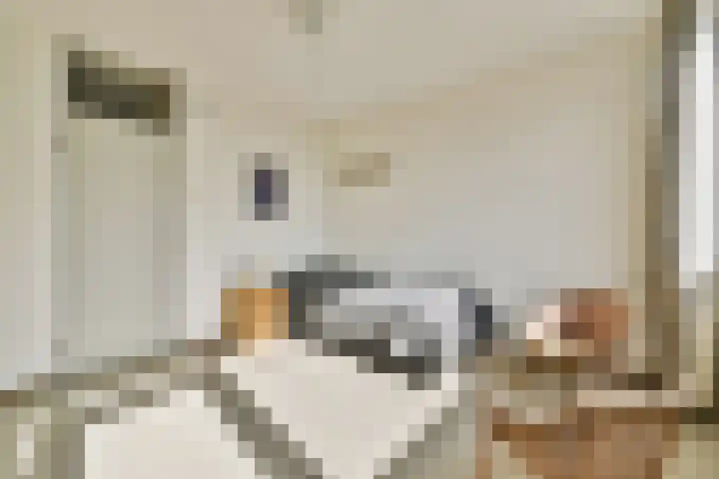 Meidoorn 25 Naaldwijk thumbnail 26