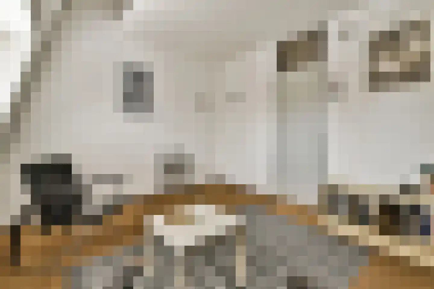 Meidoorn 25 Naaldwijk thumbnail 29
